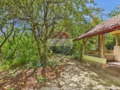 Casă P+1 cu teren, livadă și vie – Pucioasa| Acces facil Sinaia