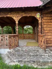 Lapusel, cabana traditionala cu priveliste la lac 
