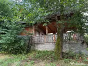 Lapusel, cabana traditionala cu priveliste la lac 