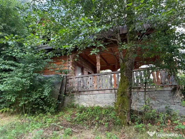 Lapusel, cabana traditionala cu priveliste la lac - Lapusel (Maramures)