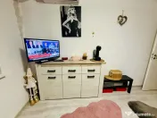 Apartament 2 camere Str Tineretului mobilat și utilat compl 