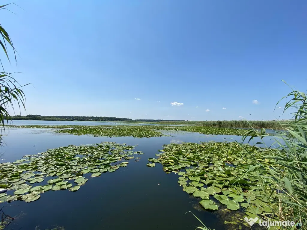 Teren intravilan 17 m deschidere Lac Silistea Snagovului 5000mp - Snagov (Bucuresti-Ilfov)