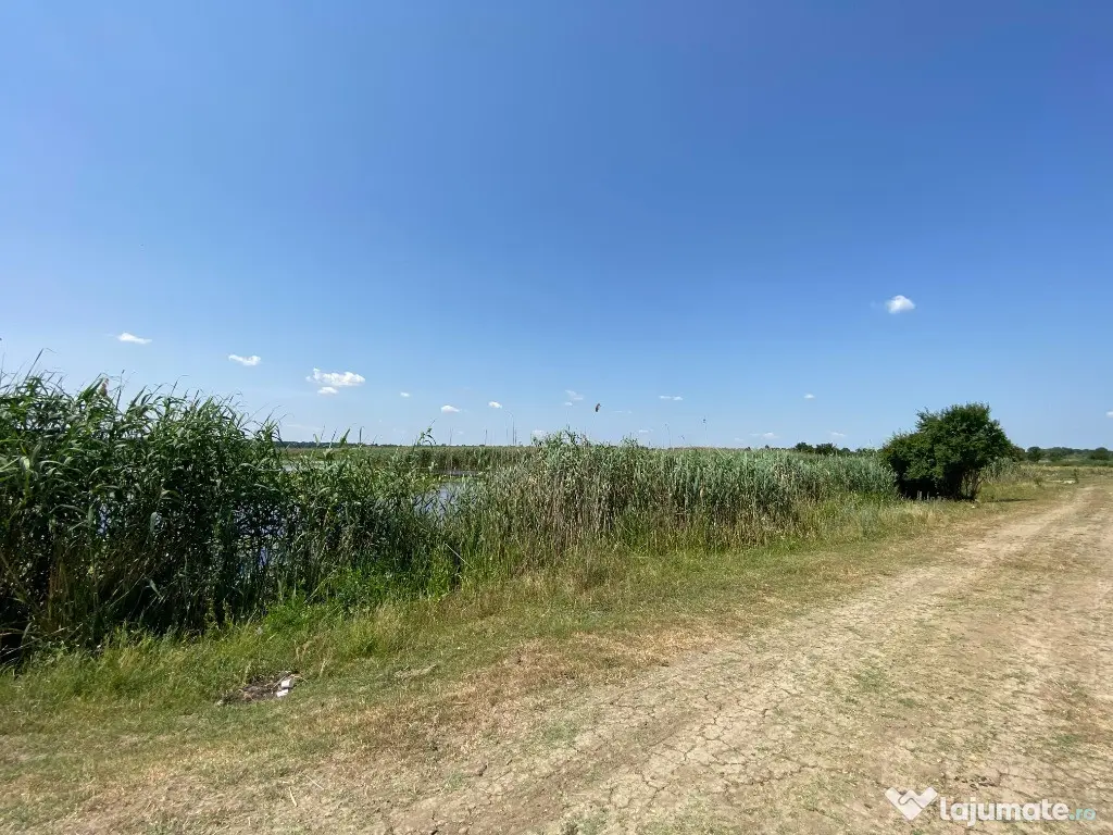Teren intravilan 17 m deschidere Lac Silistea Snagovului 5000mp - Snagov (Bucuresti-Ilfov)