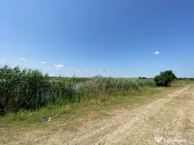 Teren intravilan 17 m deschidere Lac Silistea Snagovului 5000mp - Snagov (Bucuresti-Ilfov)