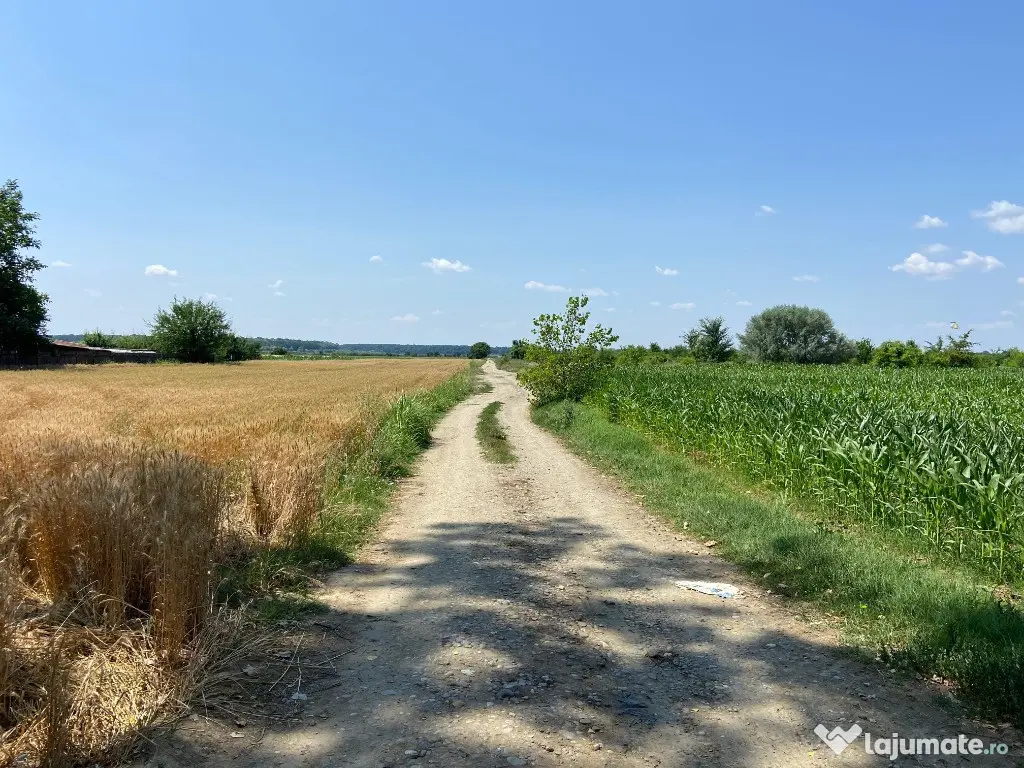 Teren intravilan 17 m deschidere Lac Silistea Snagovului 5000mp - Snagov (Bucuresti-Ilfov)