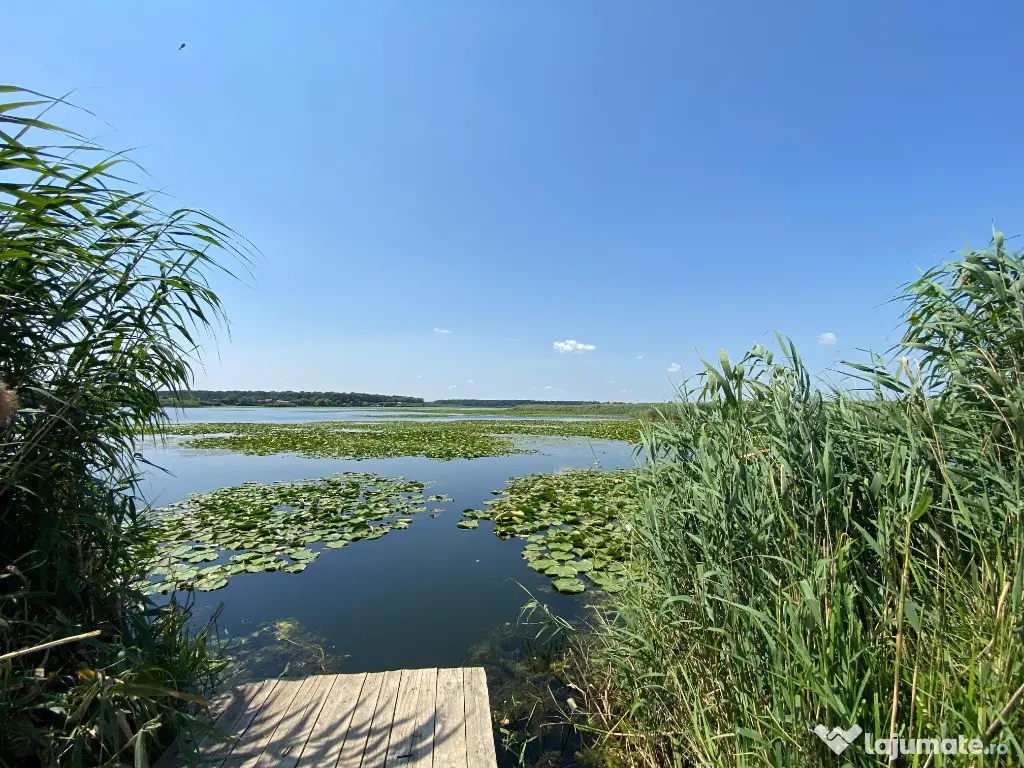 Teren intravilan 17 m deschidere Lac Silistea Snagovului 5000mp - Snagov (Bucuresti-Ilfov)