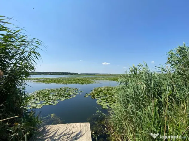 Teren intravilan 17 m deschidere Lac Silistea Snagovului 5000mp - Snagov (Bucuresti-Ilfov)