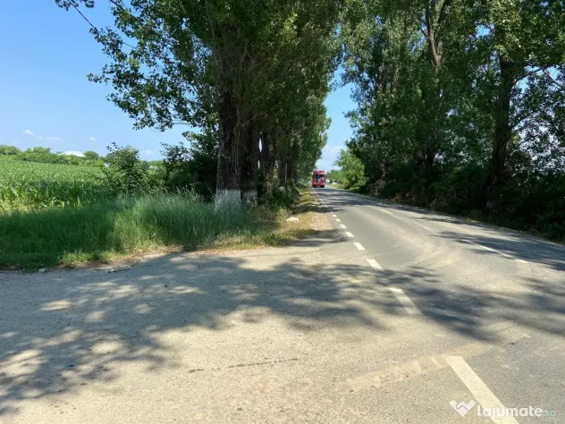 Teren intravilan 17 m deschidere Lac Silistea Snagovului 5000mp - Snagov (Bucuresti-Ilfov)
