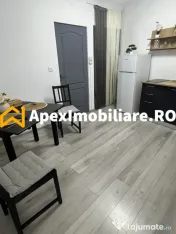Apartament 2 camere de inchiriat Cismigiu București | ApexI 
