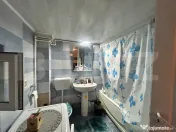 Casa de Vanzare -110 mp ultili , 650 mp teren -VIISOARA