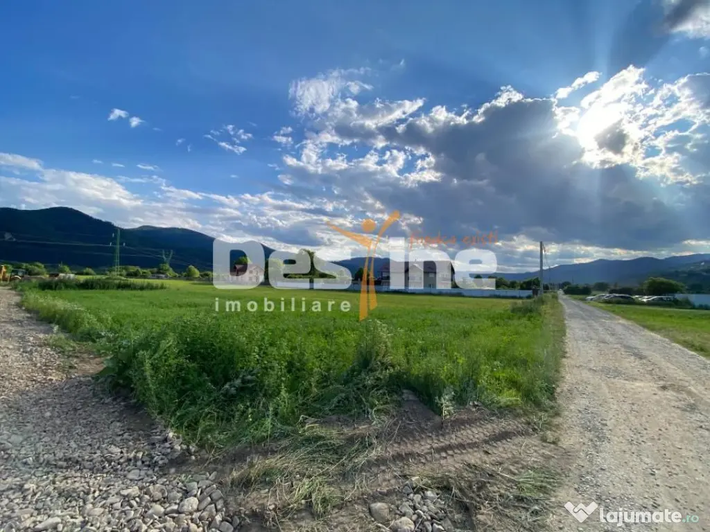 Teren de vanzare Alexandru cel Bun 20.000 Euro 735mp - Alexandru cel Bun (Neamt)