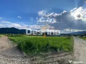 Teren de vanzare Alexandru cel Bun 20.000 Euro 735mp 
