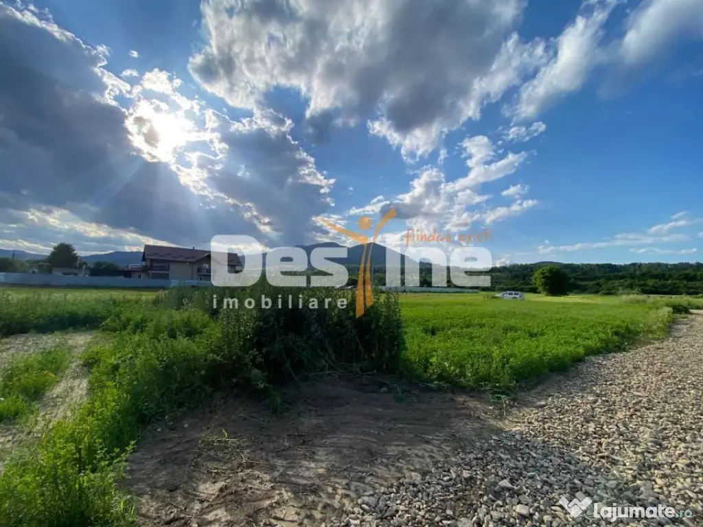 Teren de vanzare Alexandru cel Bun 20.000 Euro 735mp - Alexandru cel Bun (Neamt)