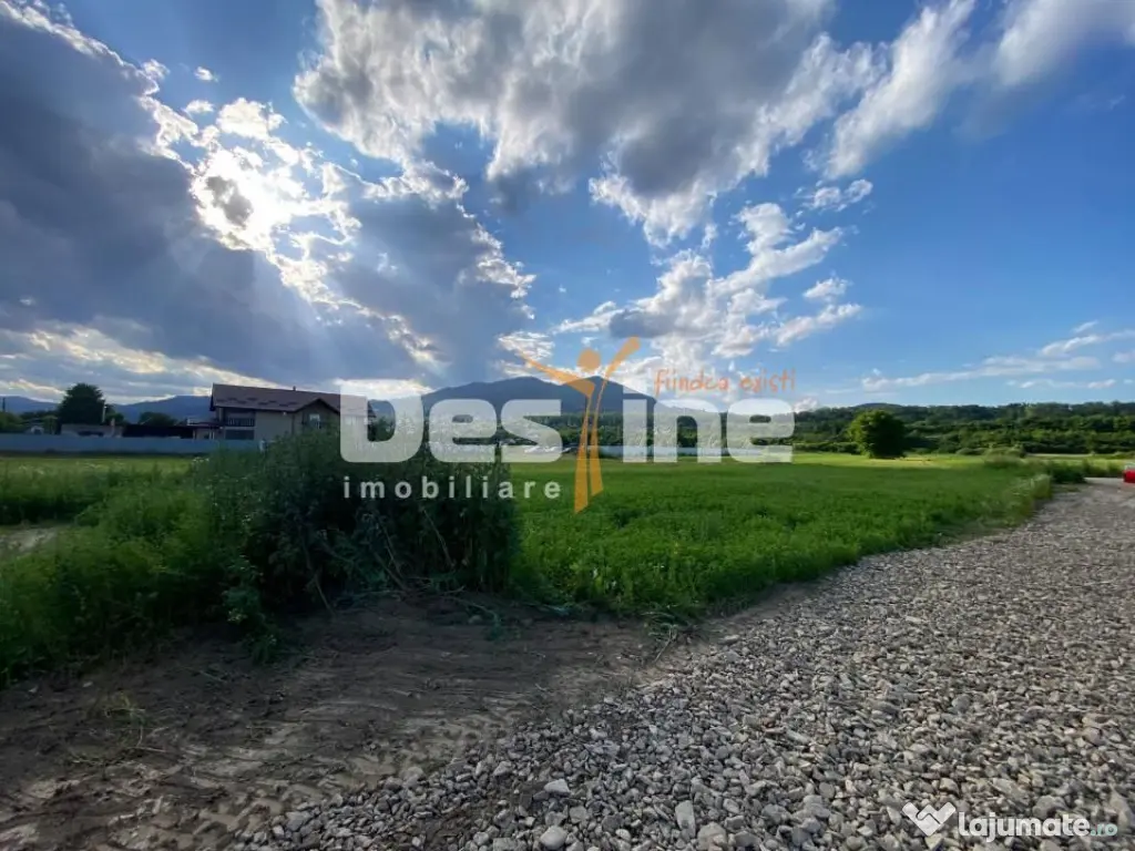 Teren de vanzare Alexandru cel Bun 20.000 Euro 735mp - Alexandru cel Bun (Neamt)