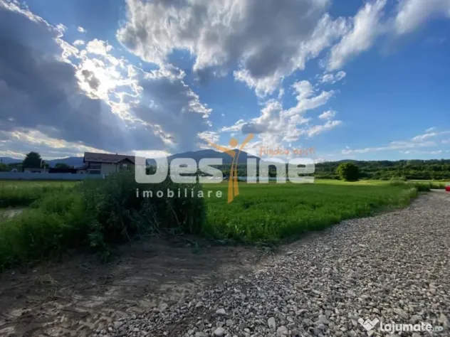Teren de vanzare Alexandru cel Bun 20.000 Euro 735mp - Alexandru cel Bun (Neamt)