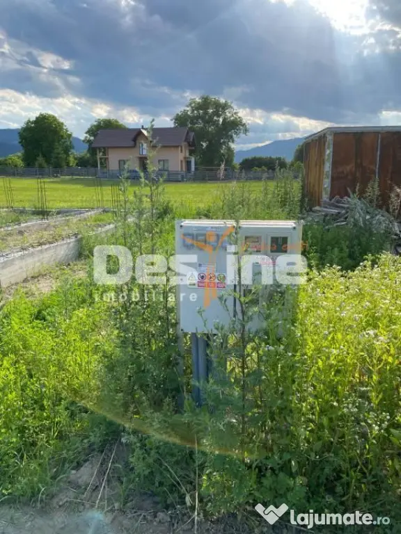 Teren de vanzare Alexandru cel Bun 20.000 Euro 735mp - Alexandru cel Bun (Neamt)