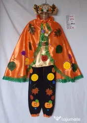 Costum Printul toamnei pentru copii3-4-5-6-7 ani,185 lei 