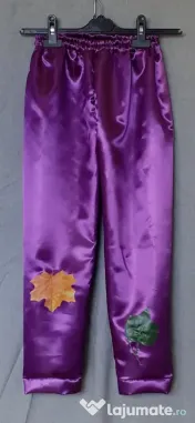 Costum Strugure pentru copii,8-9-10-11-12-13-14 ani