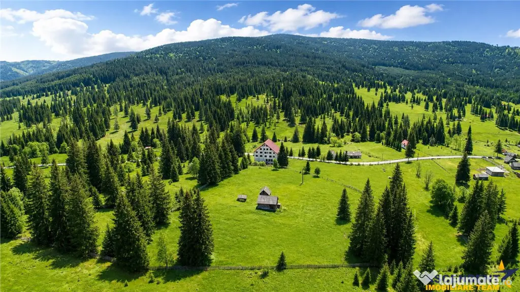 Complex montan 1.124 mp, Toplita Secu, investitie: turistica - Toplita (Harghita)