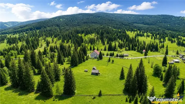 Complex montan 1.124 mp, Toplita Secu, investitie: turistica - Toplita (Harghita)