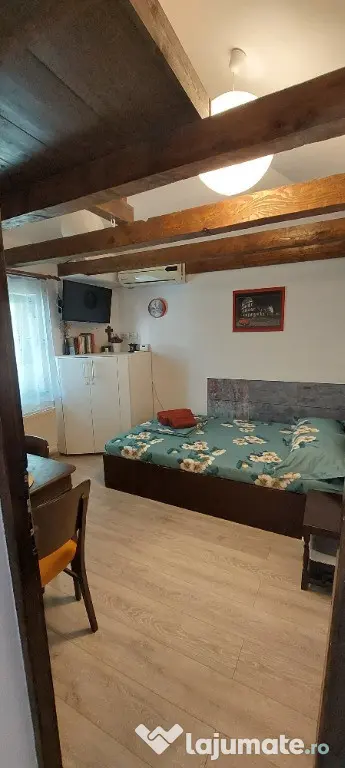 Garsonieră cochetă + spatiu depozitare in Piața Victoriei - Bucuresti (Bucuresti-Ilfov)