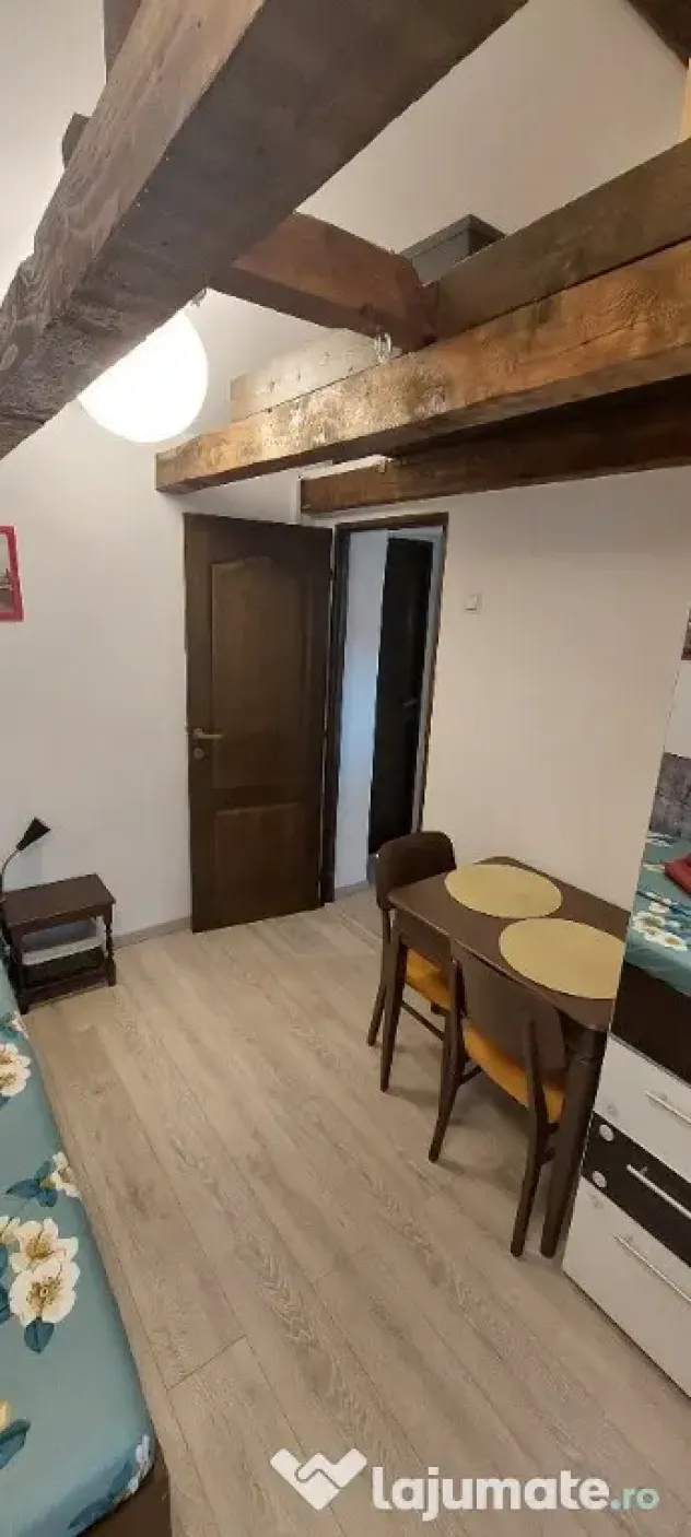 Garsonieră cochetă + spatiu depozitare in Piața Victoriei - Bucuresti (Bucuresti-Ilfov)