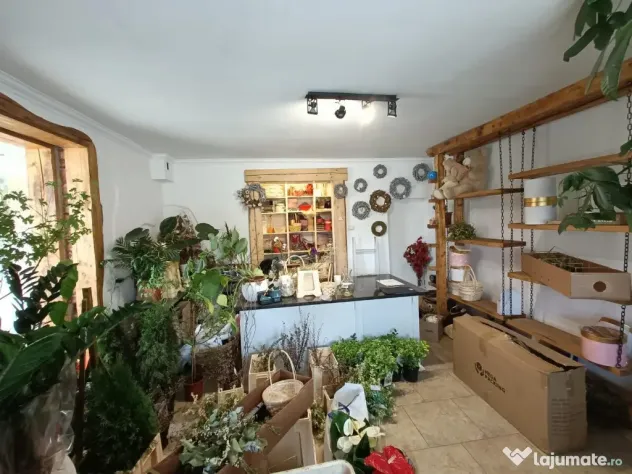 Inchiriere Spatiu comercial 2 incaperi; 35 mp; Avram Iancu - Floresti (Cluj)