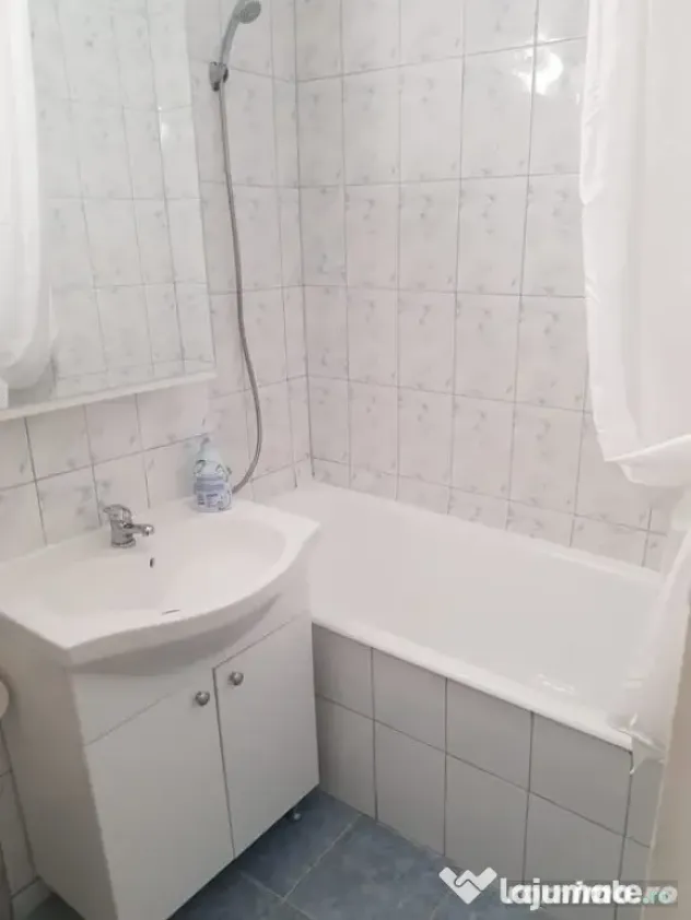 De inchiriat apartament 1 camera in zona Lipovei - Timisoara (Timis)