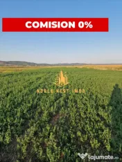 TEREN 2353 MP – UDENI-ZĂVOI, JUD. ARGEȘ | COMISION 0%