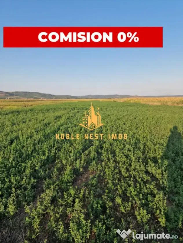 TEREN 2353 MP – UDENI-ZĂVOI, JUD. ARGEȘ | COMISION 0% - Calinesti (Arges)