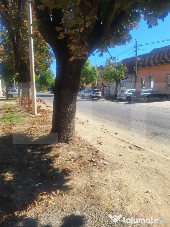Vand casa in Lugoj pe strada Gheorghe Doja - Lugoj (Timis)