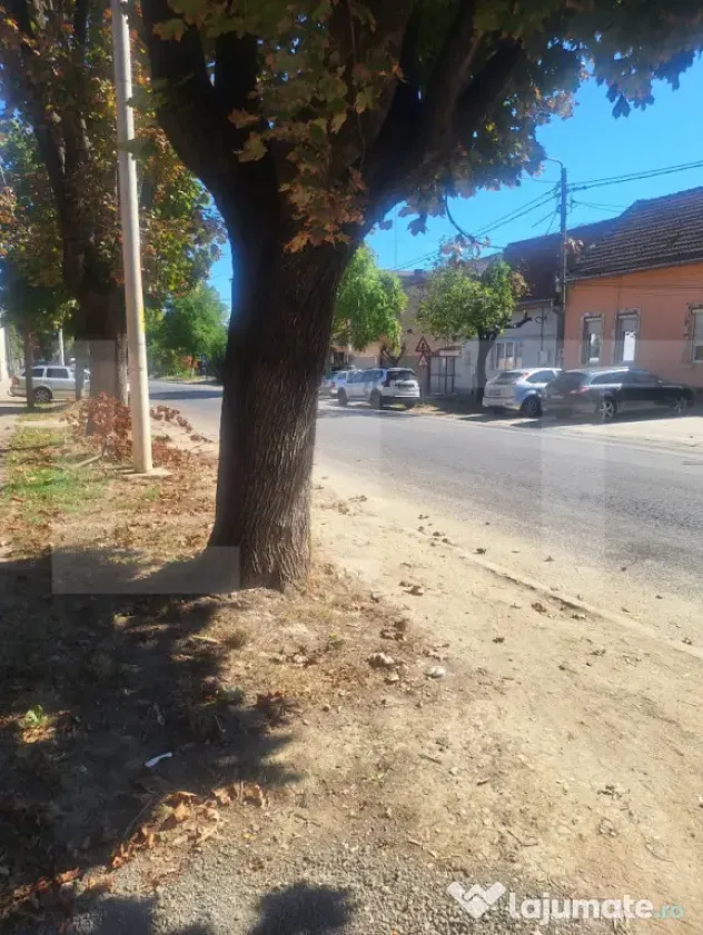 Vand casa in Lugoj pe strada Gheorghe Doja - Lugoj (Timis)