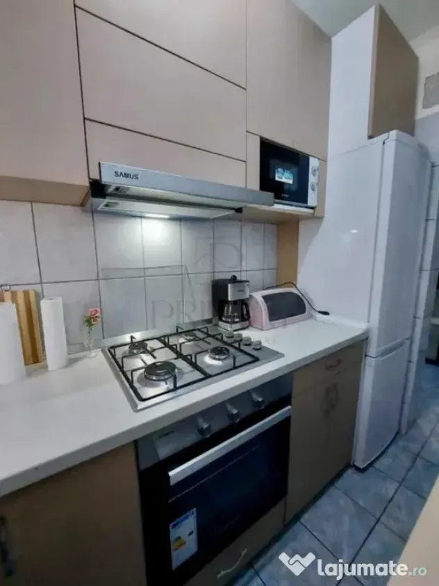 Dacia, 2 Camere, Centrala Proprie, Clima, renovat - Timisoara (Timis)