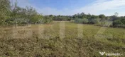 Teren intravilan de 1.439 mp în Viile Satu Mare 