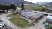 Hală industrială cu birouri si teren Gura Humorului 