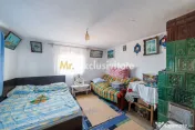 CASA SI GOSPODARIE DE VANZARE – SPINENI, OLT | 4.000 MP TEREN 