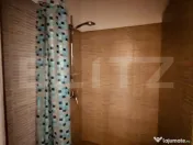 Spatiu comercial, 240 mp, zona Centrala 