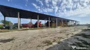 Ferma de bovine de inchiriat, 1800 mp, Lazuri 