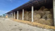 Ferma de bovine de inchiriat, 1800 mp, Lazuri 