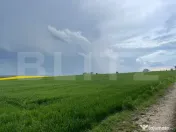Teren intravilan, 1000 mp, Frumoasa 