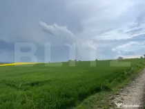 Teren intravilan, 1000 mp, Frumoasa