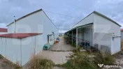Hală 440 mp | 10 km de oras | Curent trifazic și acces cam 