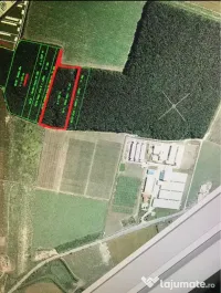 🌳 Pădurea Strava – 2,5 ha | Afumați – Șindrilița | Pioneer