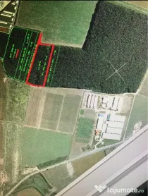 🌳 Pădurea Strava teren – 2,5 ha | Afumați – Șindrilița | Pioneer