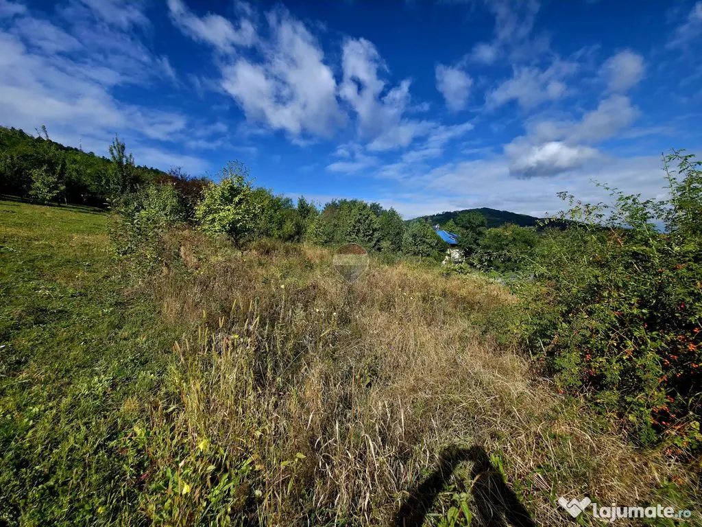 Teren 1,000mp Strada Pietrelor /Fermelor - Piatra-Neamt (Neamt)