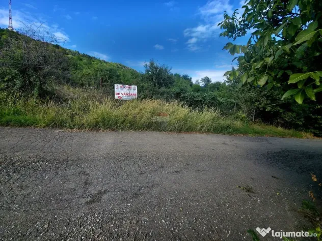 Teren 1,000mp Strada Pietrelor /Fermelor - Piatra-Neamt (Neamt)