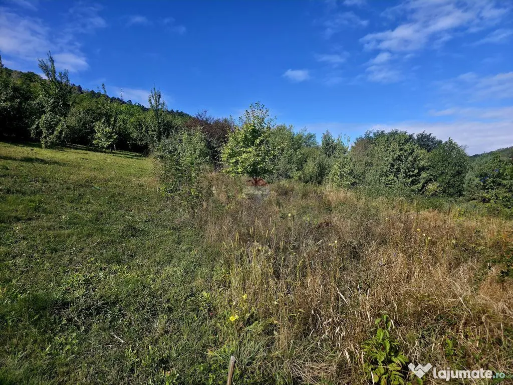 Teren 1,000mp Strada Pietrelor /Fermelor - Piatra-Neamt (Neamt)