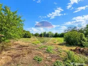 | Casă 3 camere | teren 2800 mp | Judetul Dambovita | 
