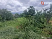Teren intravilan de 1438 mp de vanzare, in Recas 