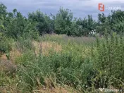 Teren intravilan de 1438 mp de vanzare, in Recas 